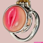 The Pussy Ring Chastity Cage