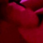 Cicofox Sex Porn Videos