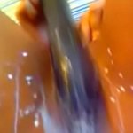 Creamy Squirt Load