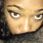 Free Free Black Hairy Pussy 720p HD Porn Videos