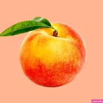 25 Tips to Enjoy Anal Sex From Someone Who Loves It