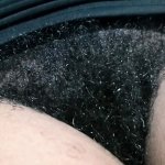 Video Bokep Berbulu