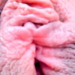 Dana Play with her Large Pussy Lips Closeup Extreme Detail 1080p
