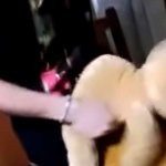 Horny scene boy fucks anal a hot blonde Teddy Bear