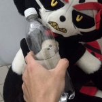 plush fuck doll plushfuckdoll Posts X
