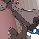 2d Futa Furry Animated Compilation